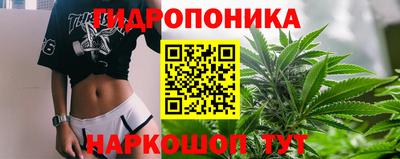прущие грибы Ангарск
